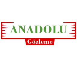 Anadolu Gözleme logo.